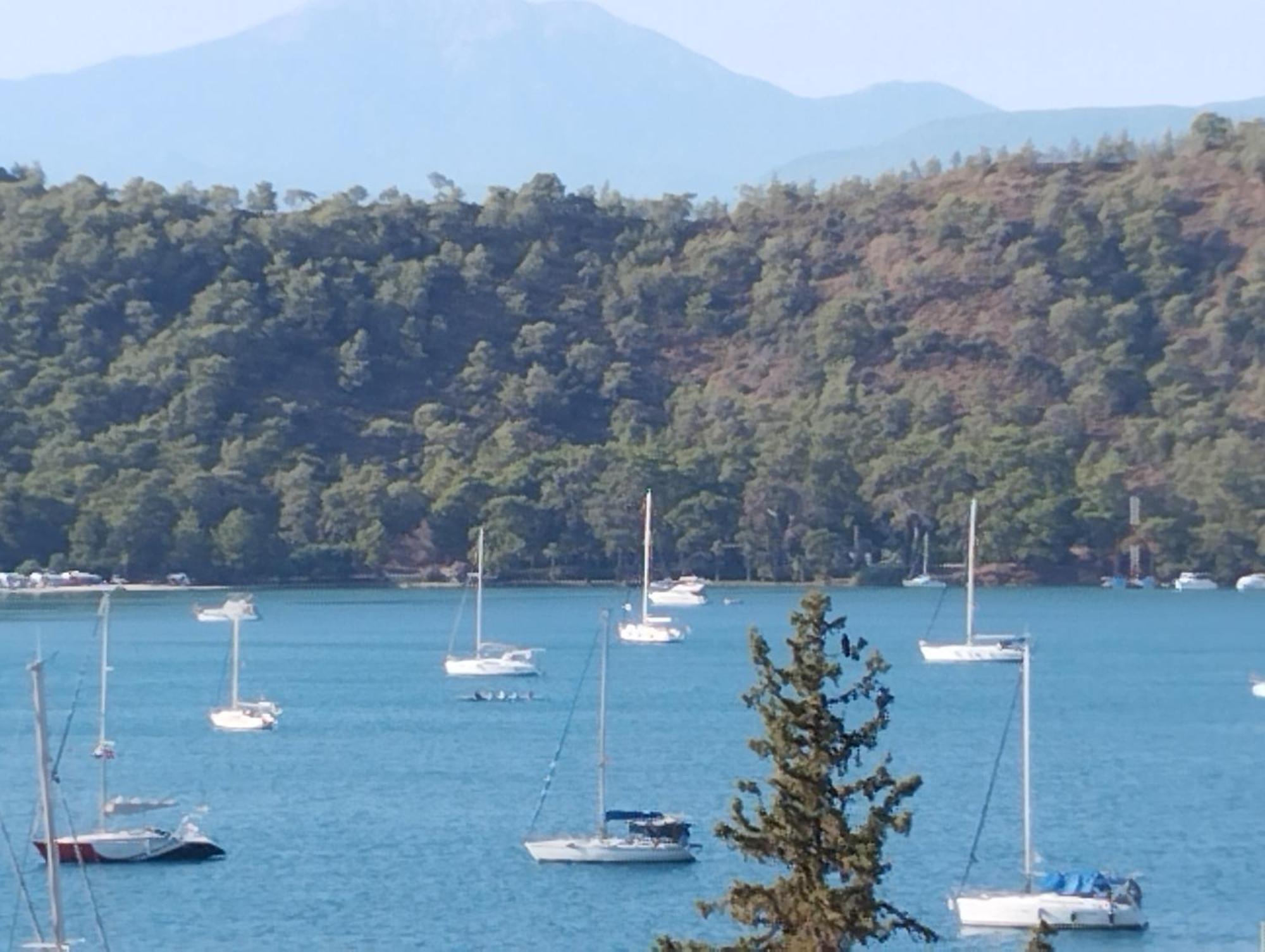 Duygu Apart Spellbinding Sea Views Fethiye Værelse billede